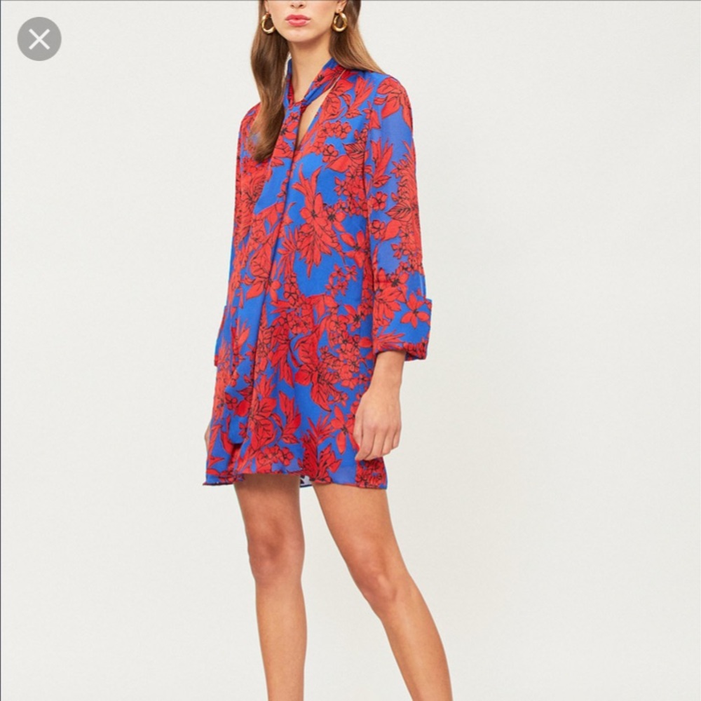 Alice and Olivia dress